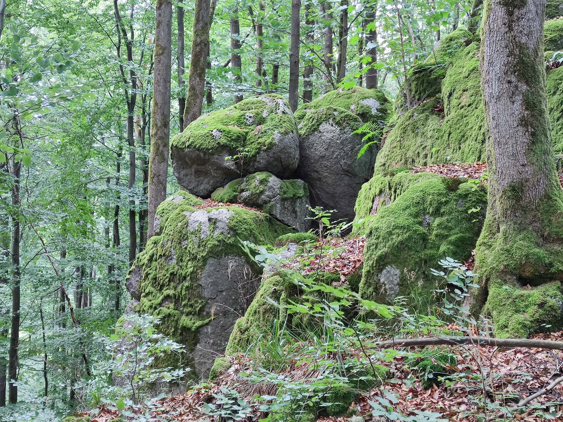 Felsen Ahlmüllersfelsen in Grebenhain-Oberwald