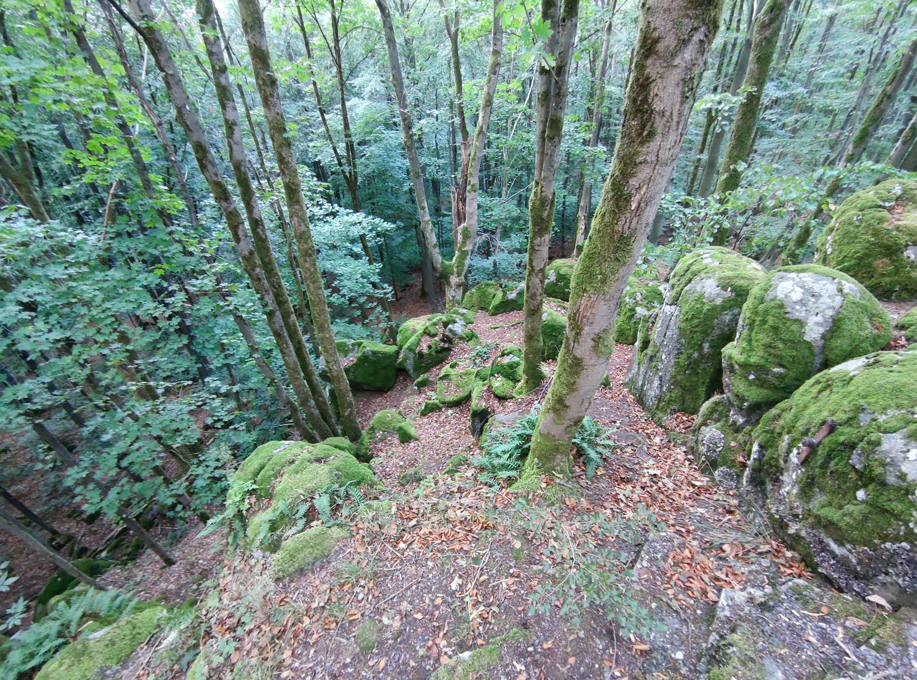 Felsen Ahlmüllersfelsen in Grebenhain-Oberwald