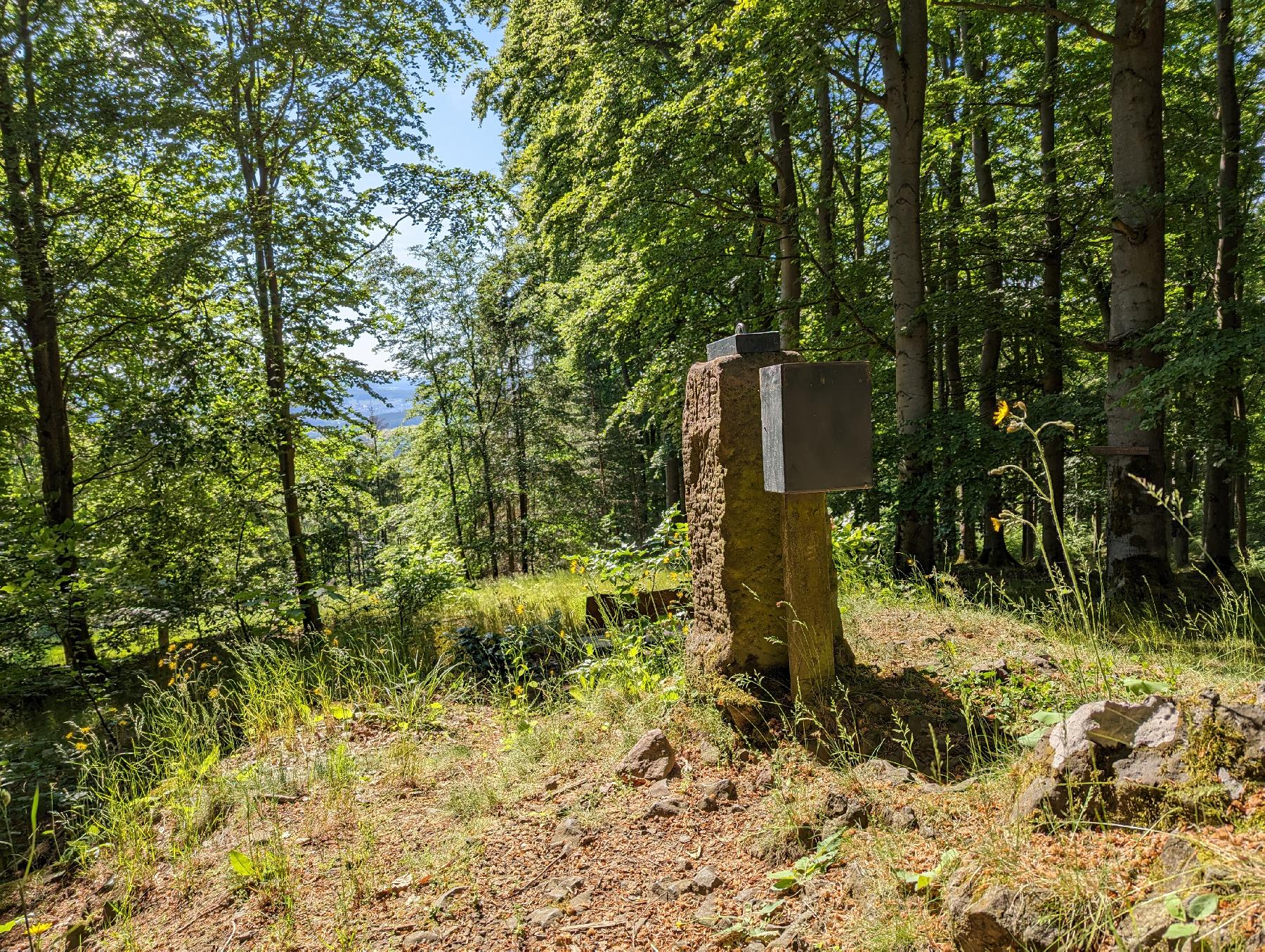 Strecke Basaltfelsen-Downhill im Vogelsberg