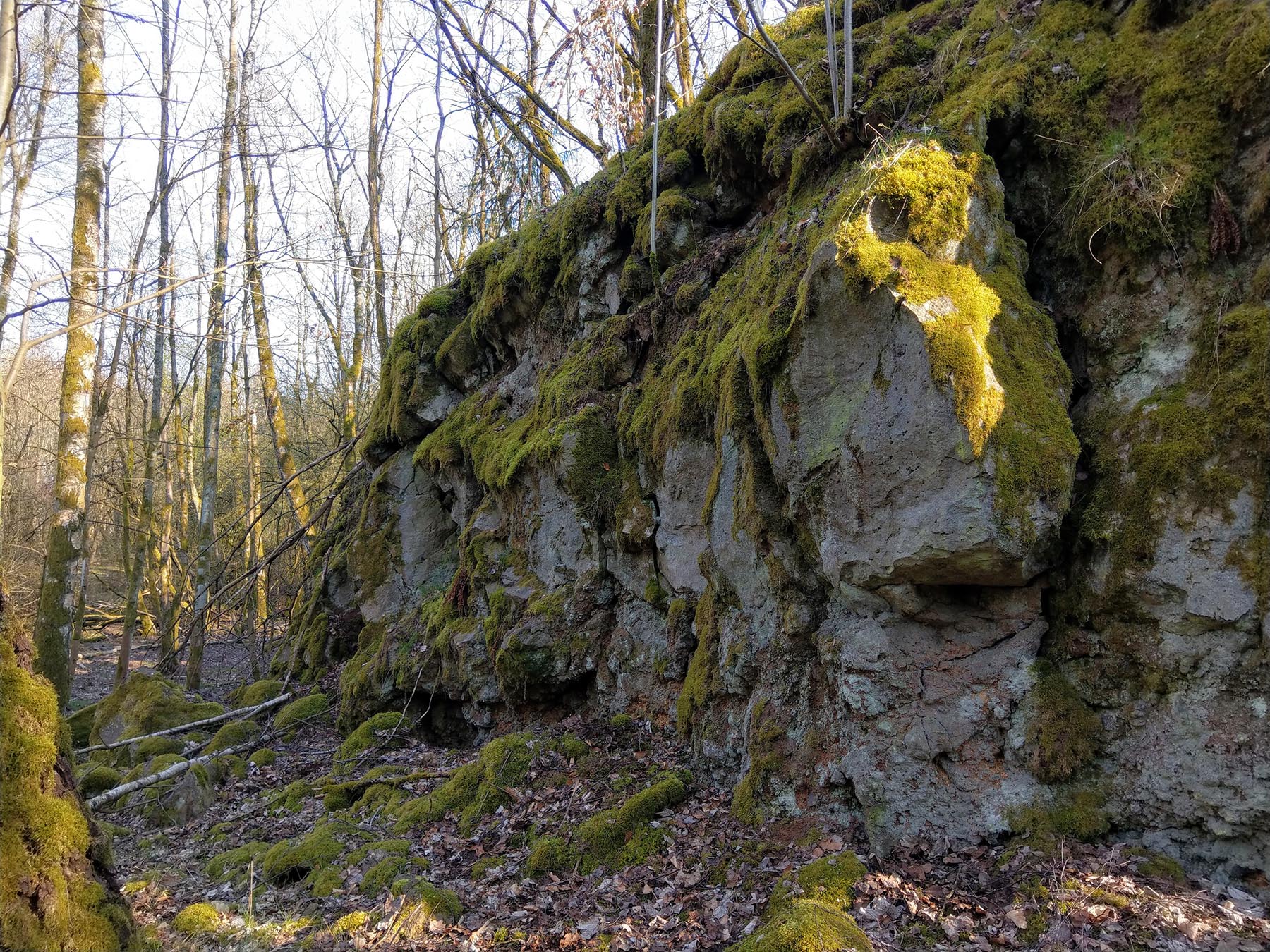 Felsen Basalttafel in Herbstein