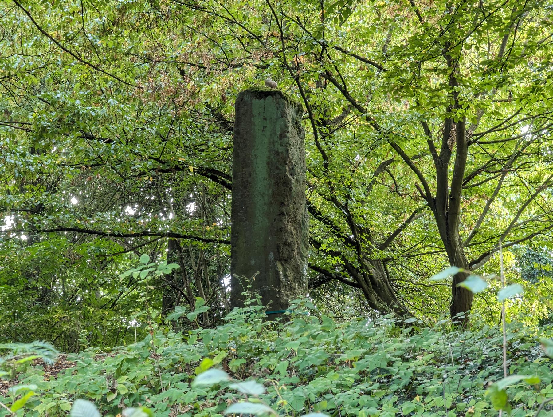 Kulturdenkmal Burg Niederschlitz in Schlitz