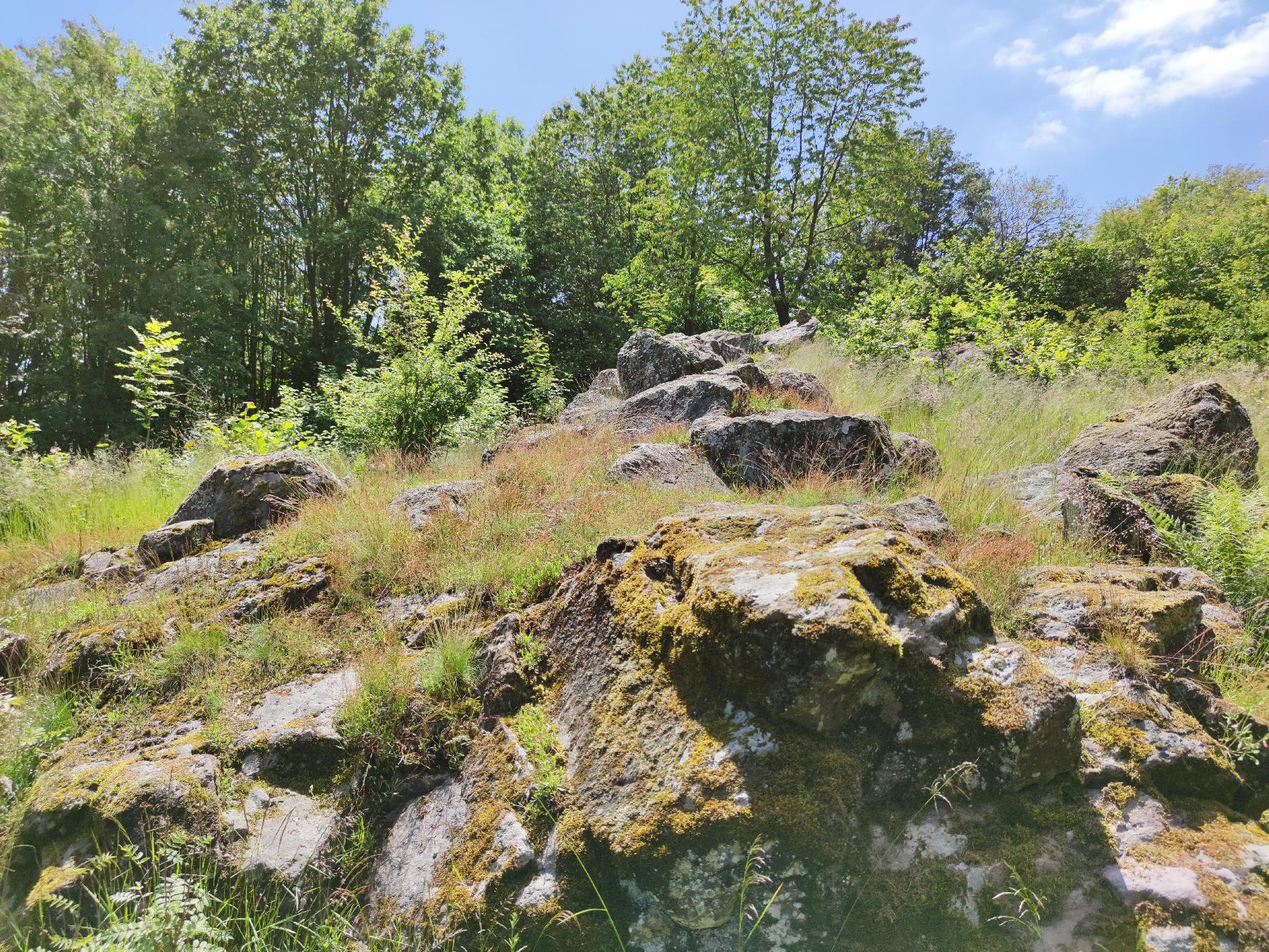 Felsen Dicker Stein von Engelrod in Lautertal-Engelrod