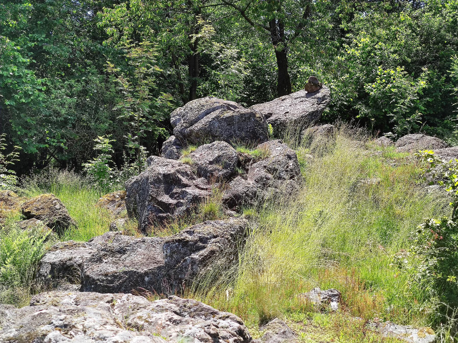 Felsen Dicker Stein von Engelrod in Lautertal-Engelrod