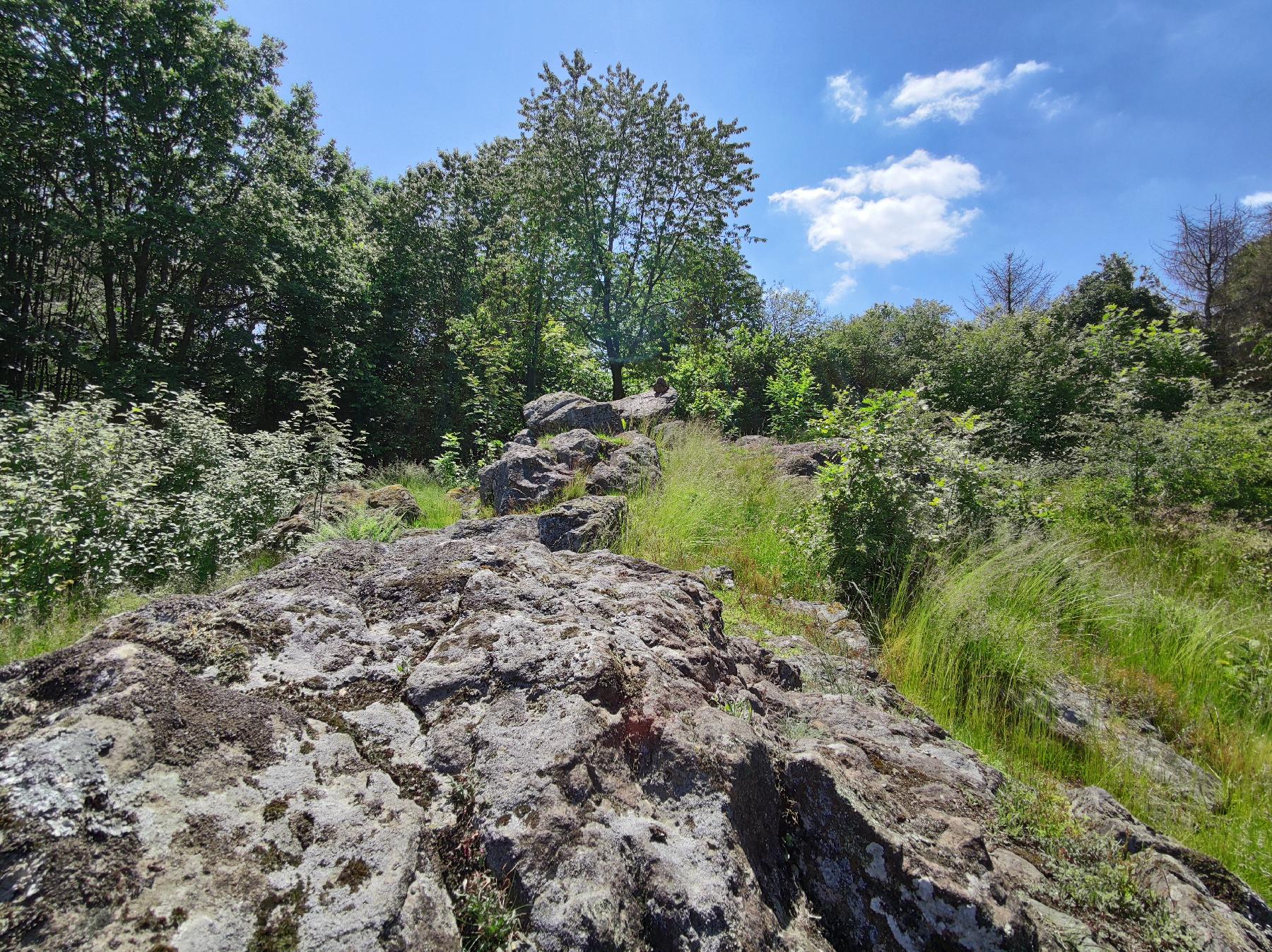 Felsen Dicker Stein von Engelrod in Lautertal-Engelrod