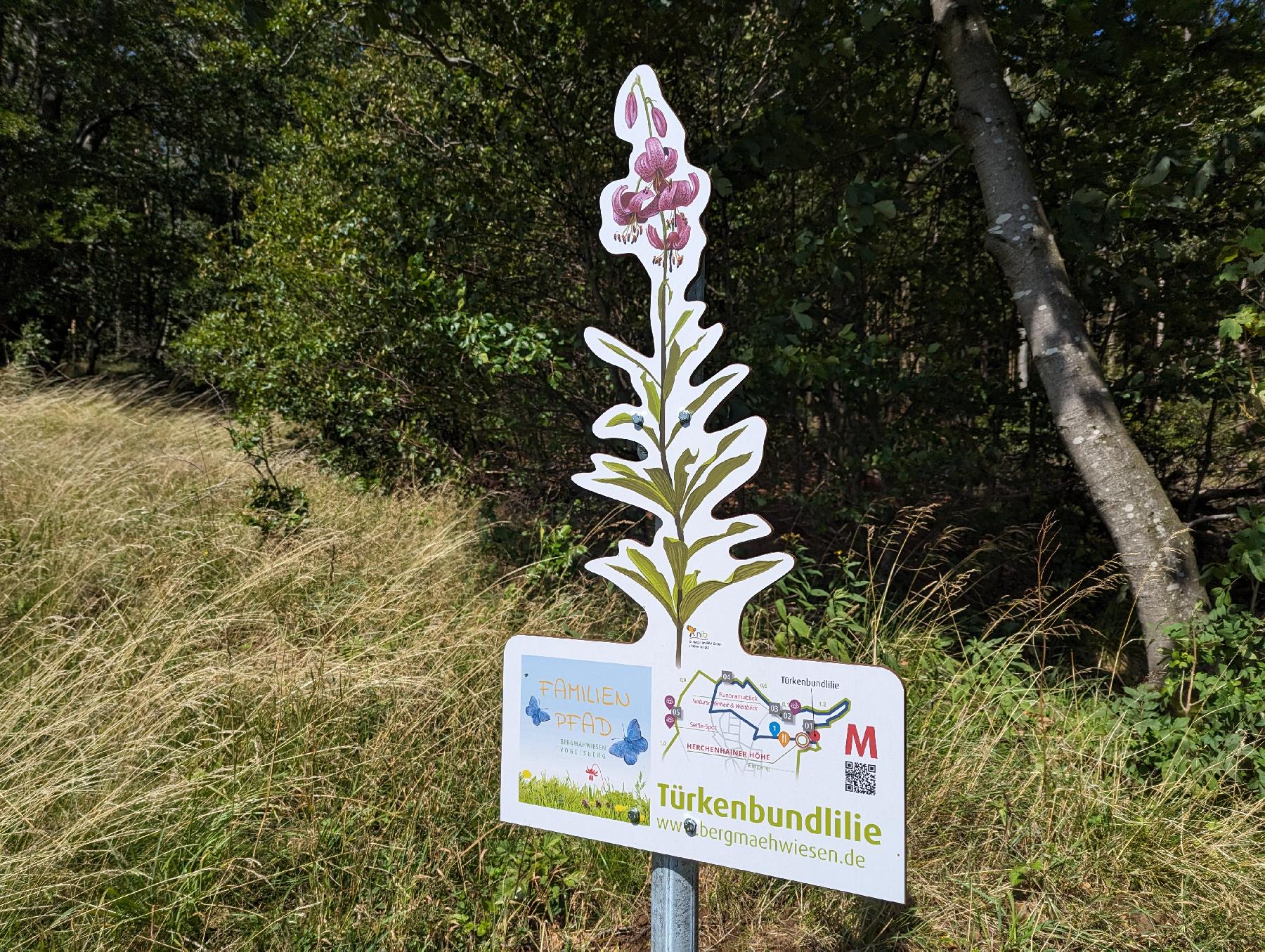 Strecke Familienpfad: Bergmähwiesen