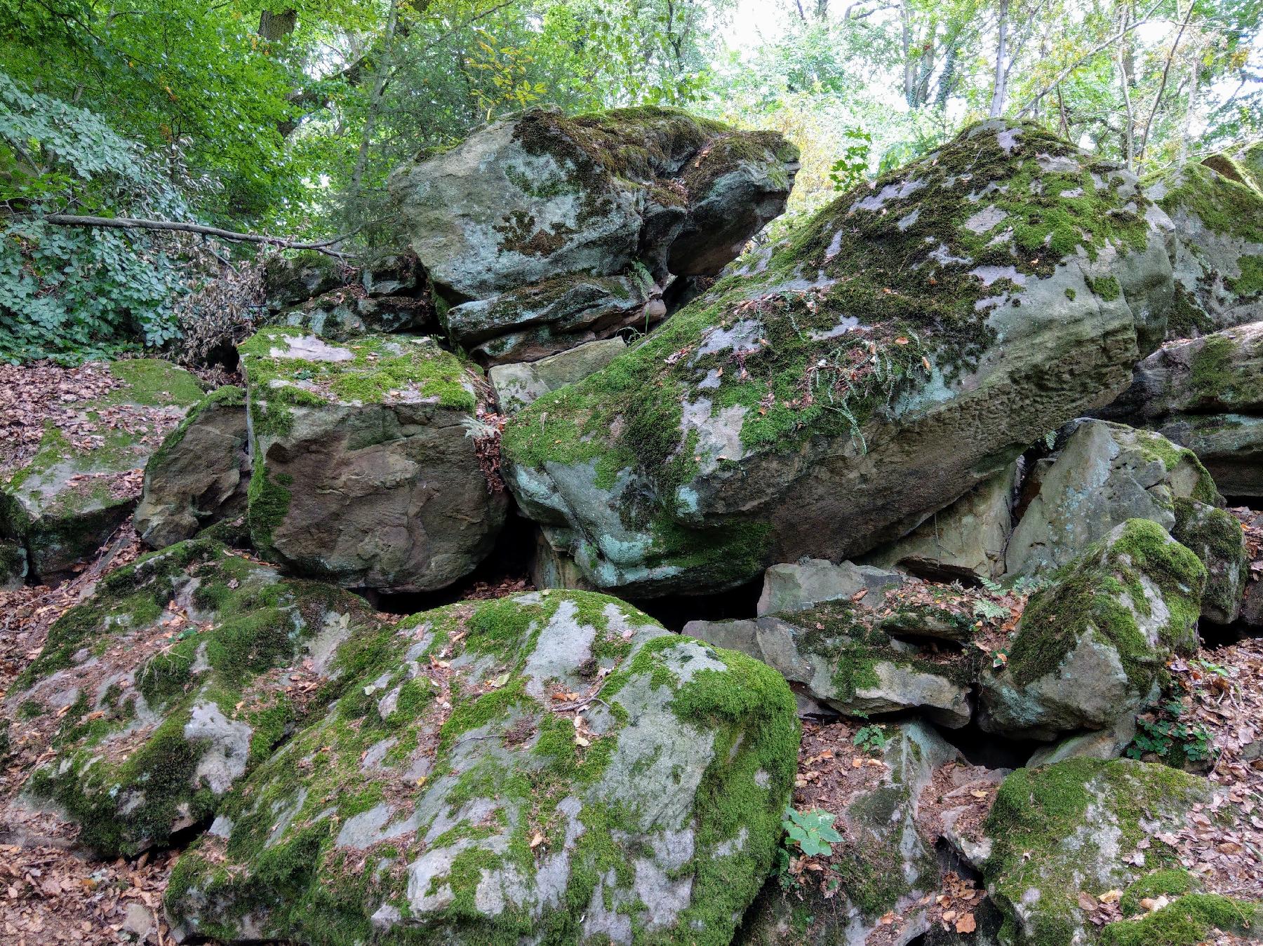 Felsen Felsenmeer im Hansteingraben in Homberg (Ohm)-Nieder-Ofleiden