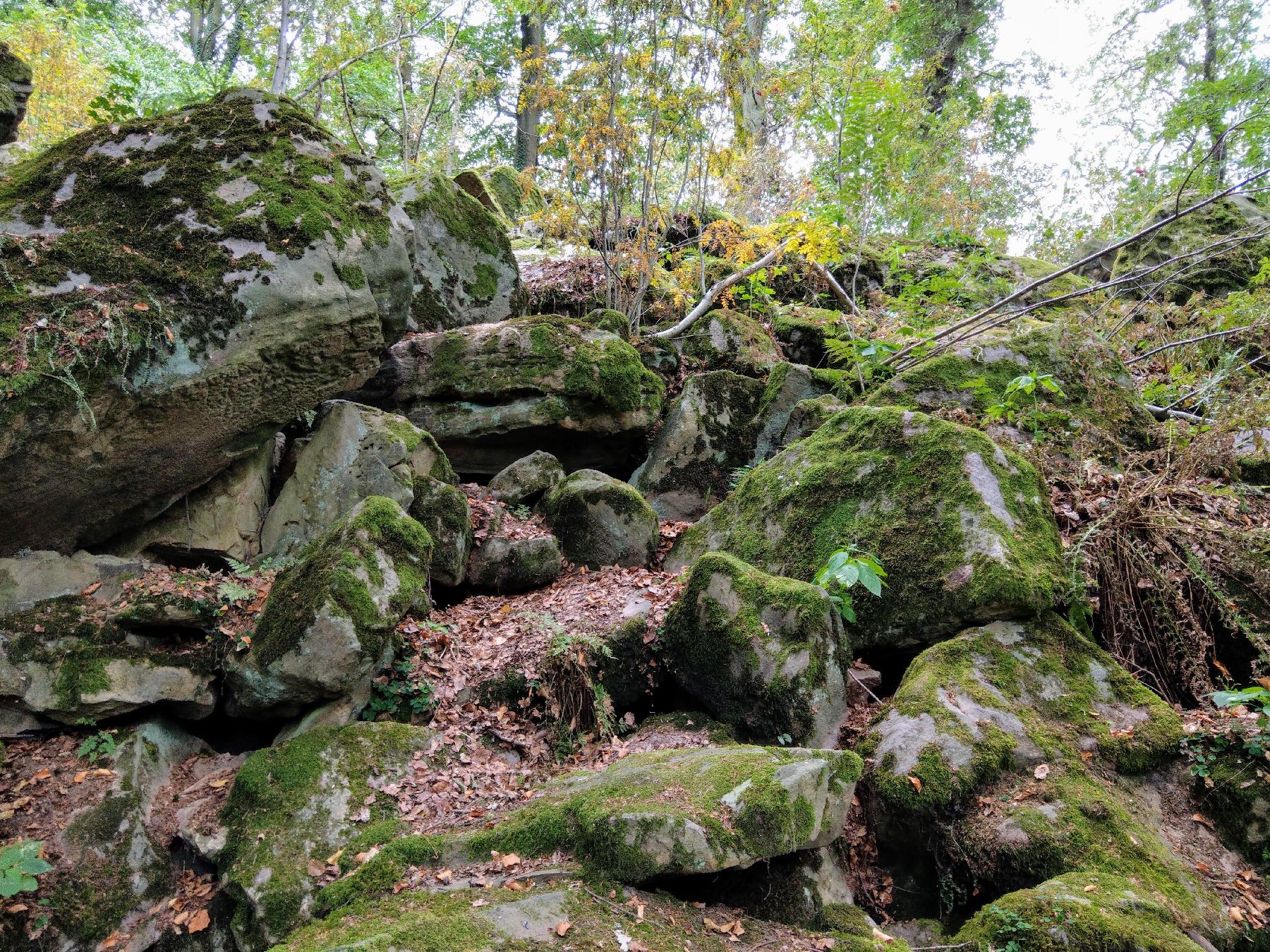 Felsen Felsenmeer im Hansteingraben in Homberg (Ohm)-Nieder-Ofleiden