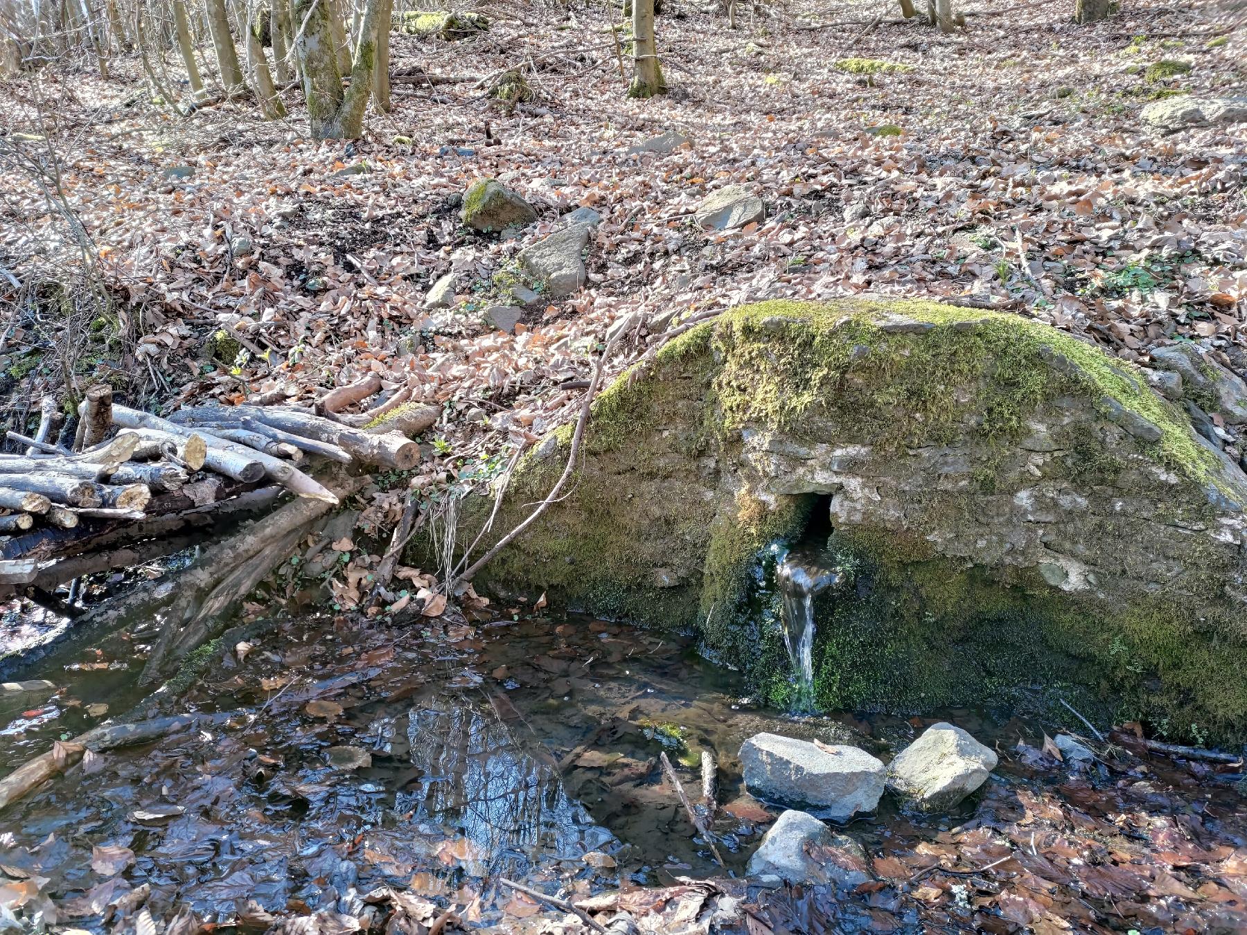 Quelle Förstersbrunnen in Grebenhain-Zahmen