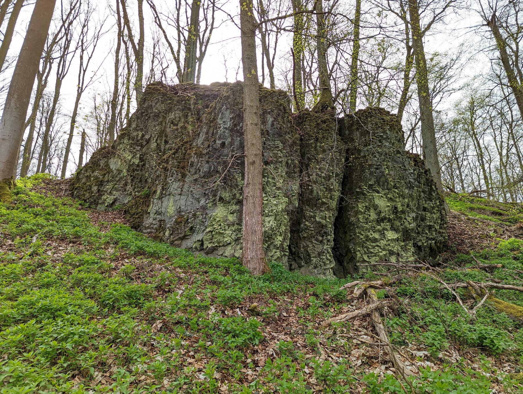 Bergspitze Geldkopf in Schwalmtal-Rainrod