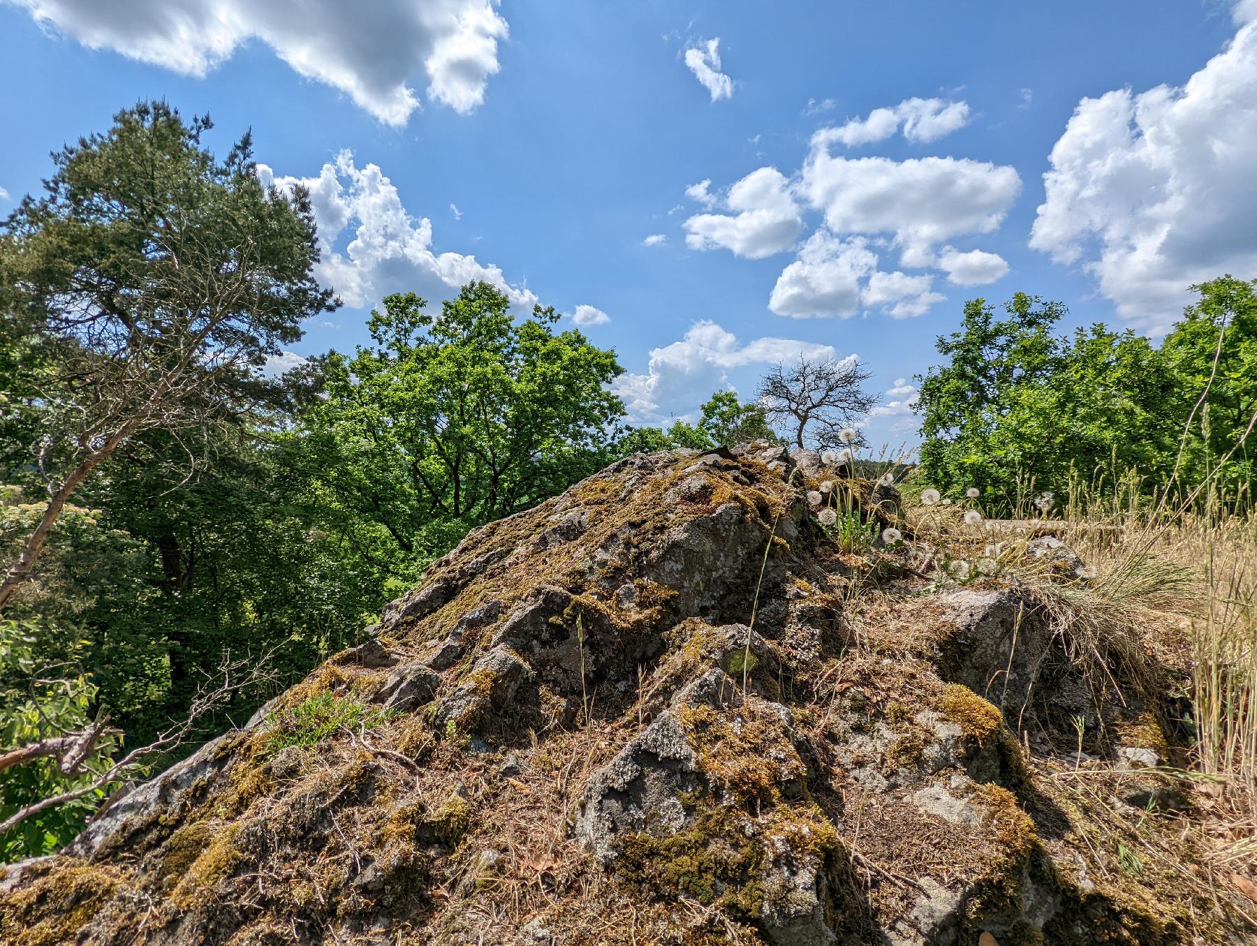 Bergspitze Große Kuppe in Grebenau-Reimenrod