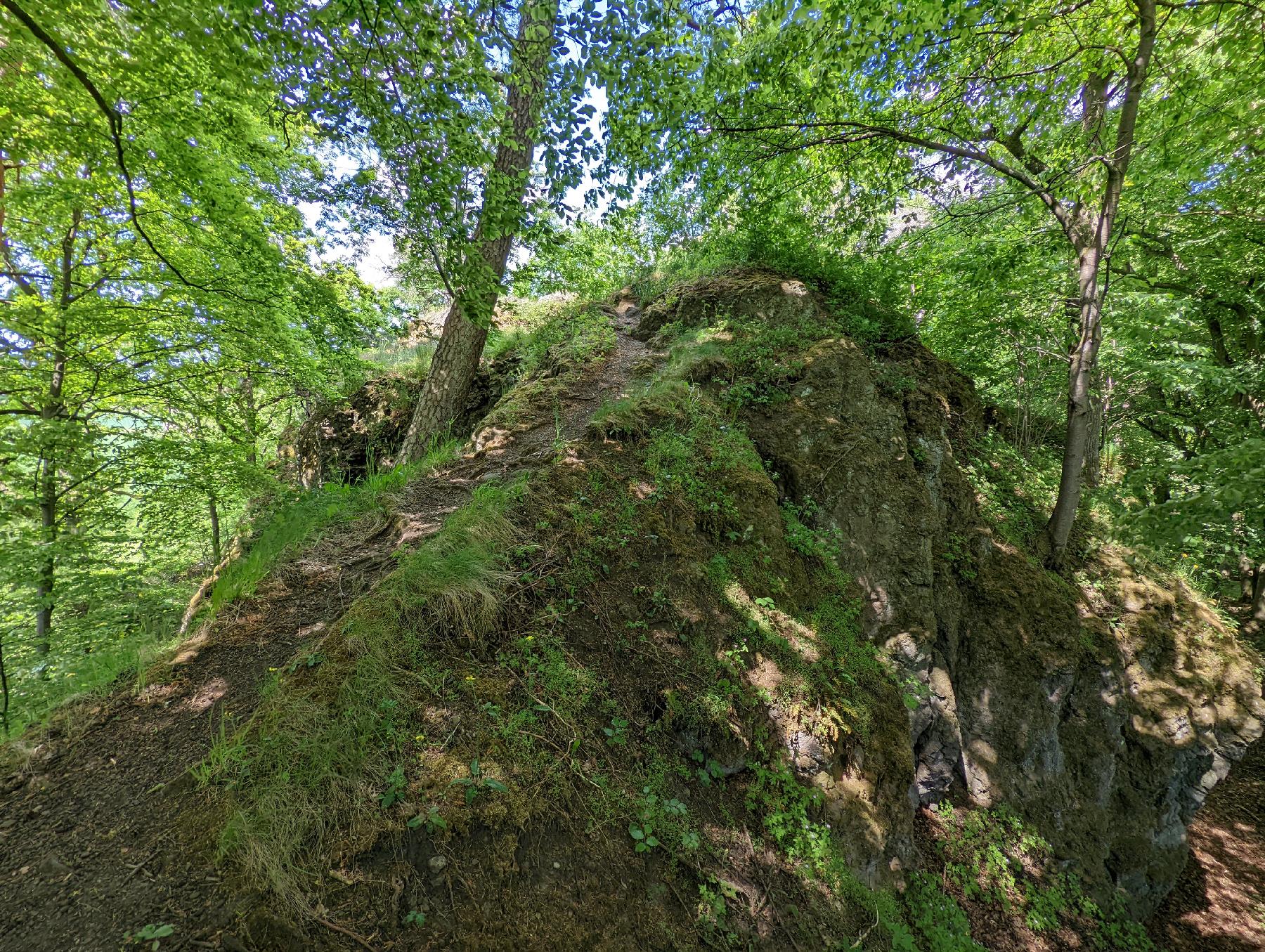 Bergspitze Große Kuppe in Grebenau-Reimenrod