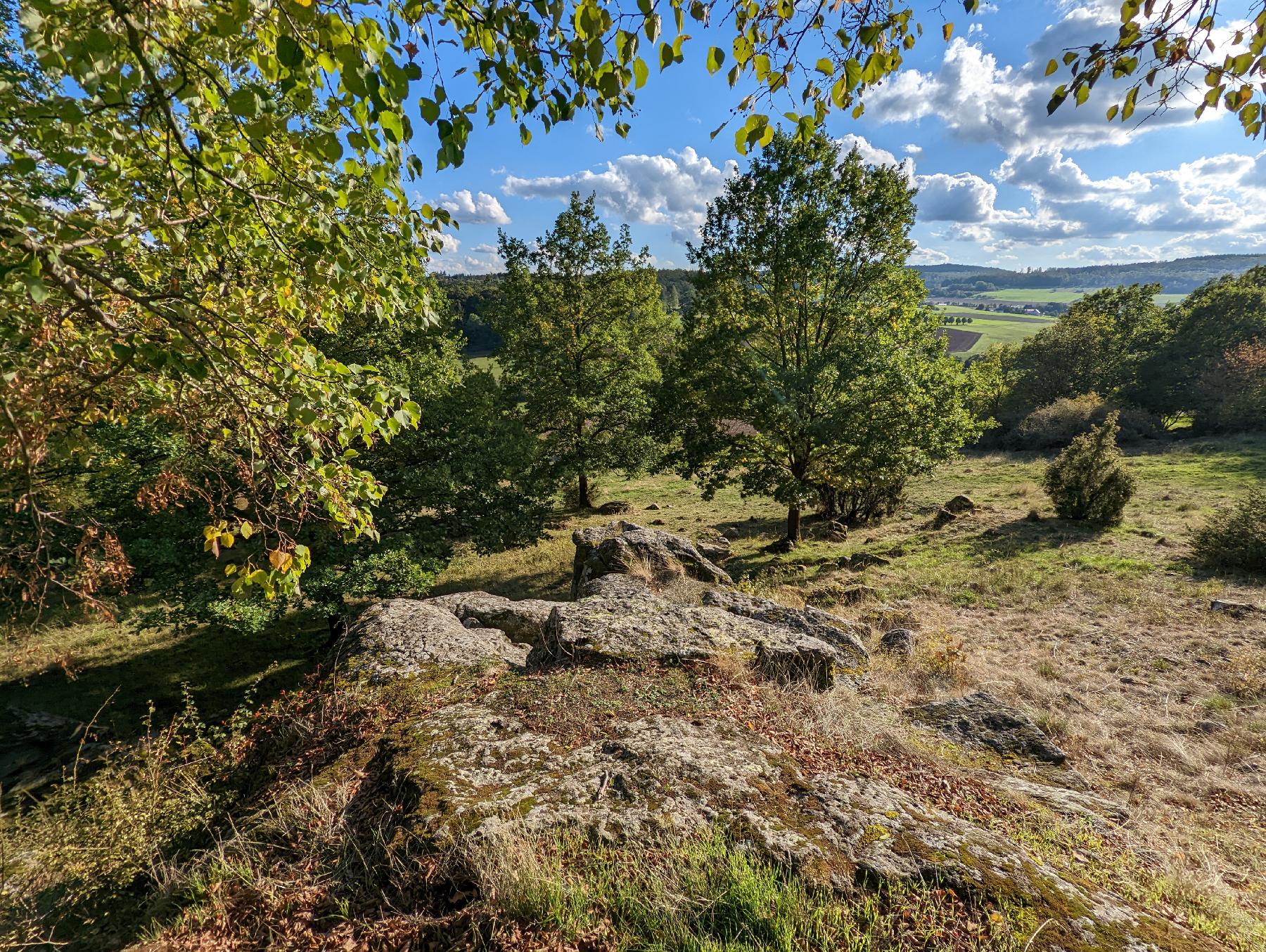 Felsen Heidbergfelsen in Lauterbach-Sickendorf