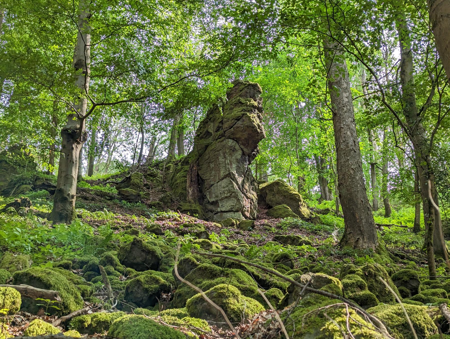 Felsen Heinzemann in Gemünden (Felda)-Ehringshausen