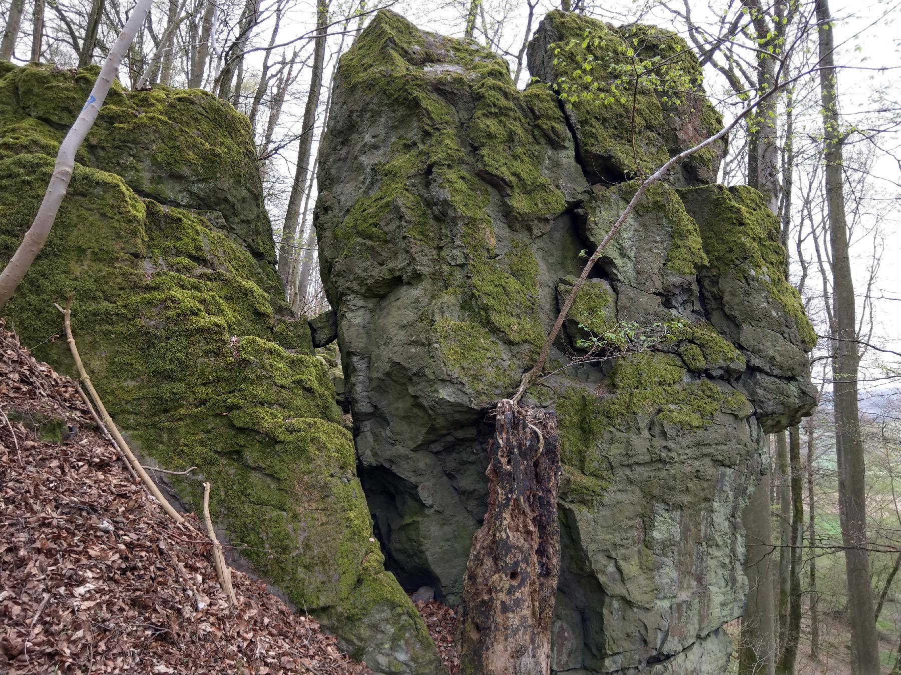 Felsen Heinzemann in Gemünden (Felda)-Ehringshausen