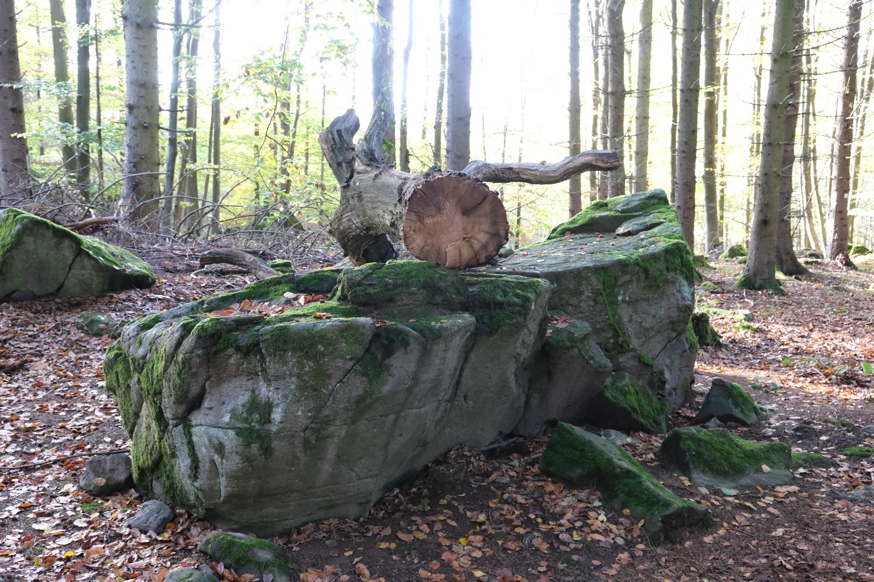 Felsen Hexenstein in Herbstein-Lanzenhain