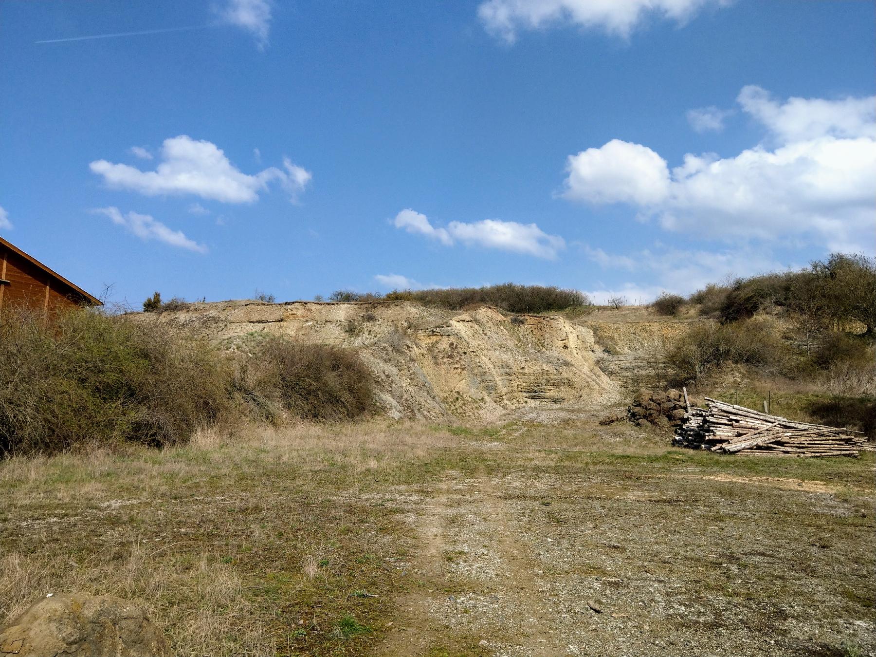 Felsen Kalkwand am Kalkberg in Lauterbach-Maar