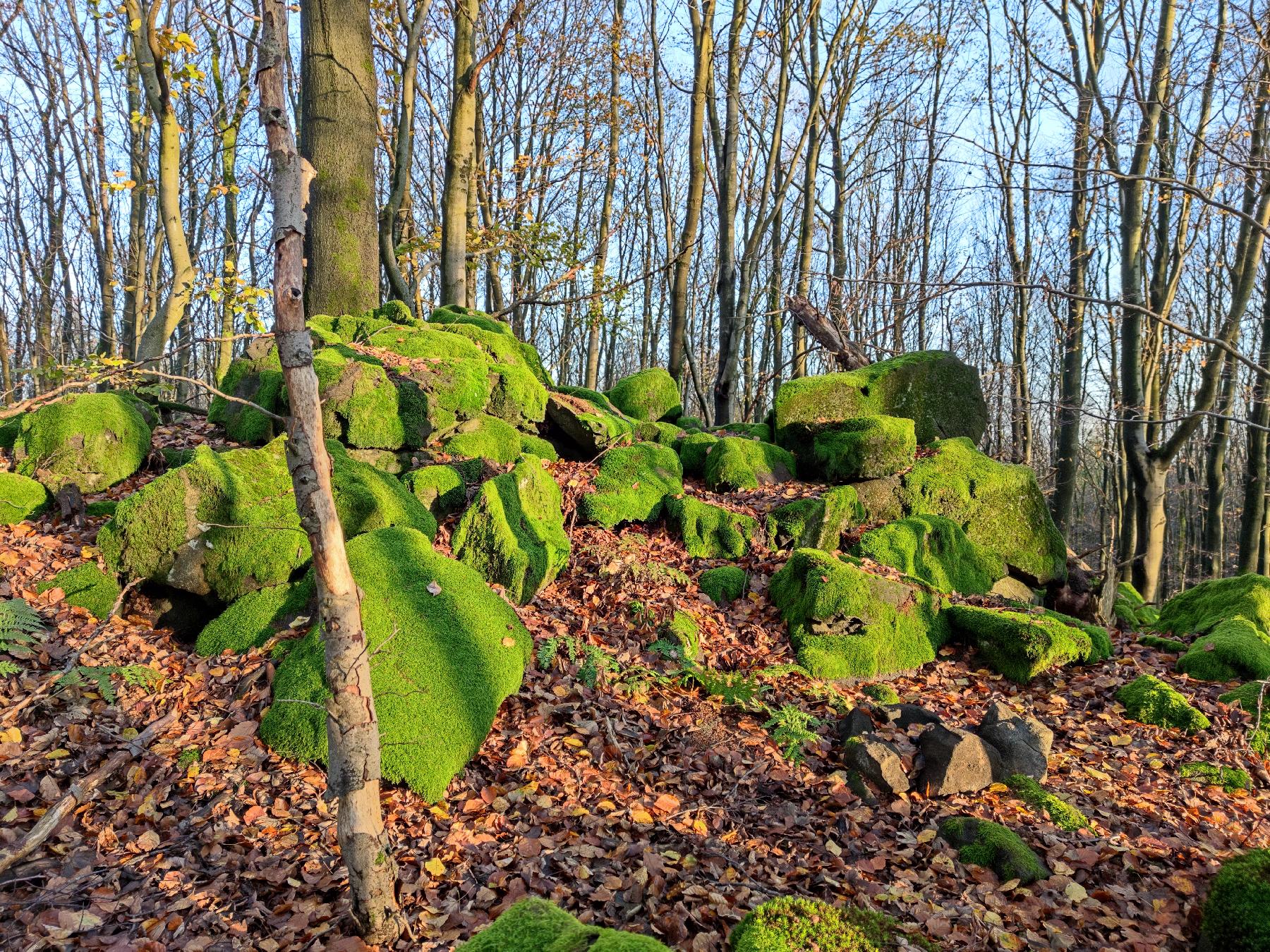 Felsen Kleiner Bilstein in Schotten-Busenborn