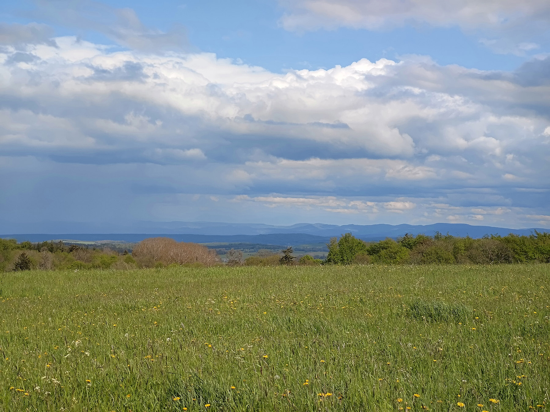 Berg Köppel in Lautertal-Eichelhain