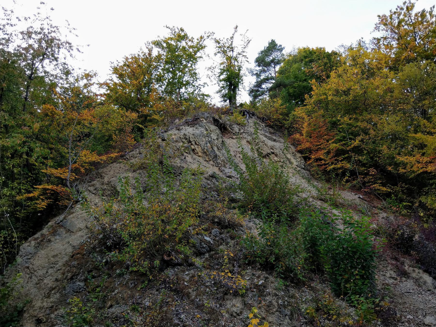 Felsen Muschelkalkkante am Sonnberg in Wartenberg-Angersbach