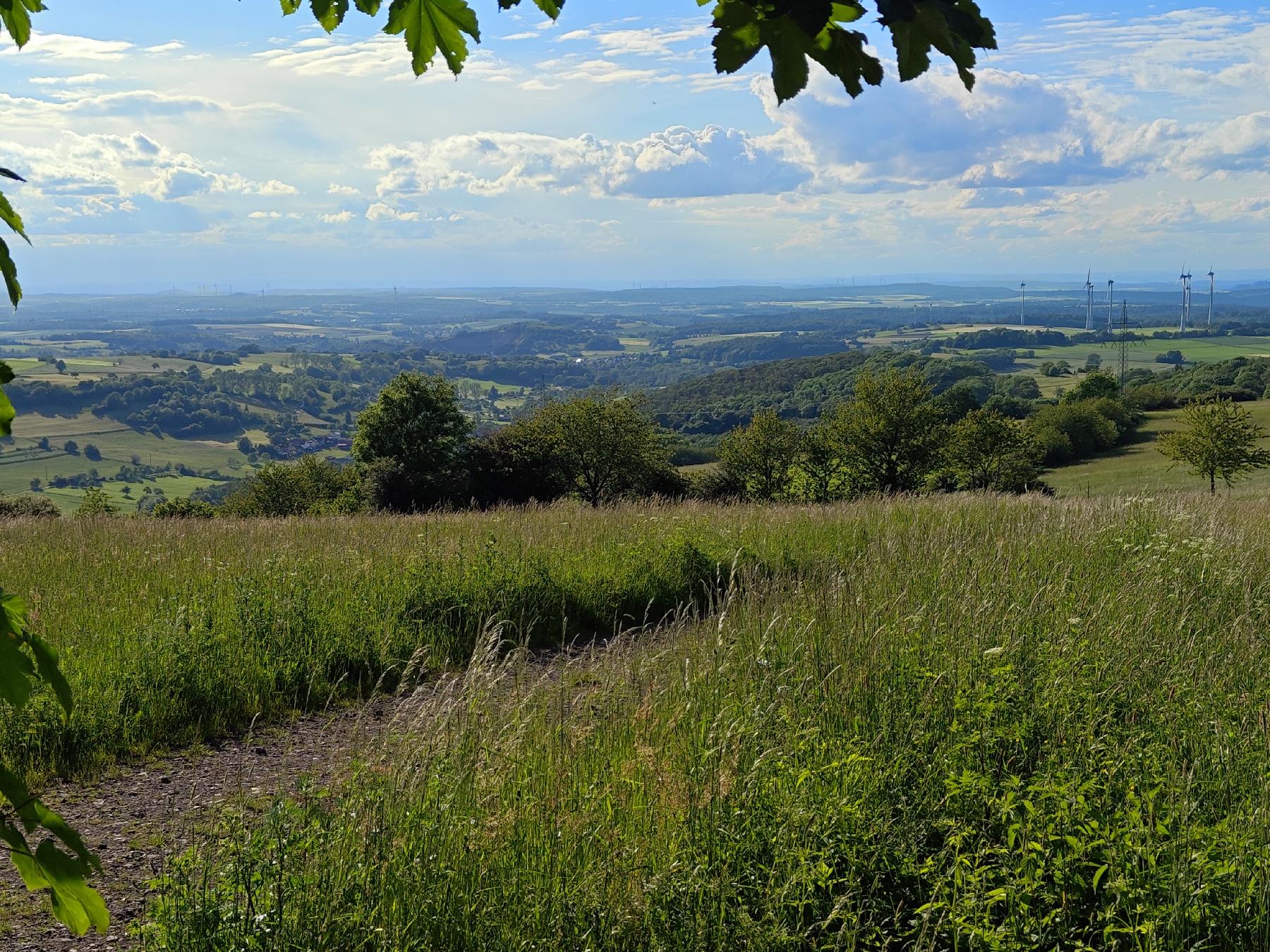 Berg Platte (Ober-Seibertenrod) in Ulrichstein-Ober-Seibertenrod