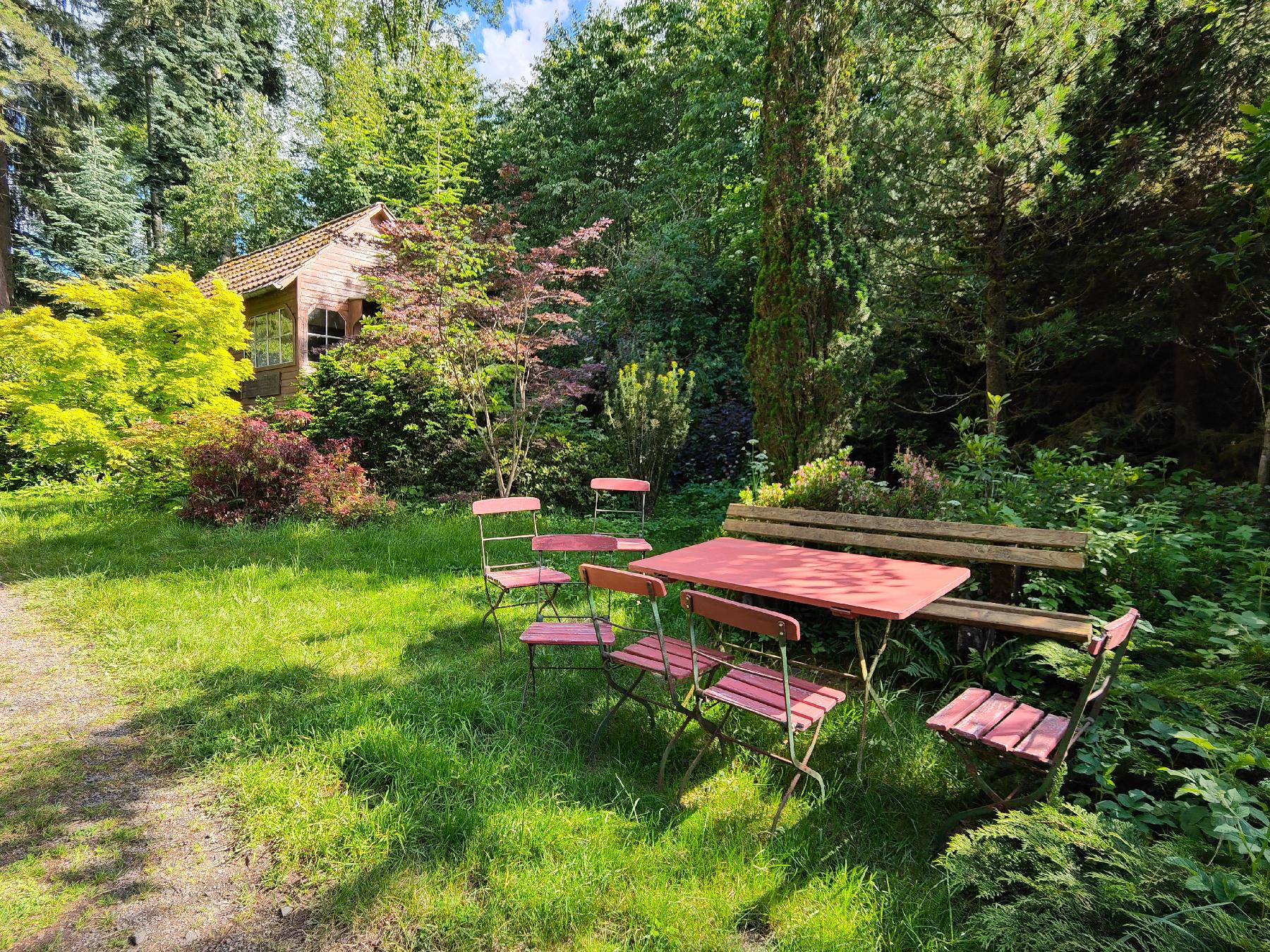 Biotop Rhododendrongarten Nösberts-Weidmoos in Grebenhain-Nösberts-Weidmoos