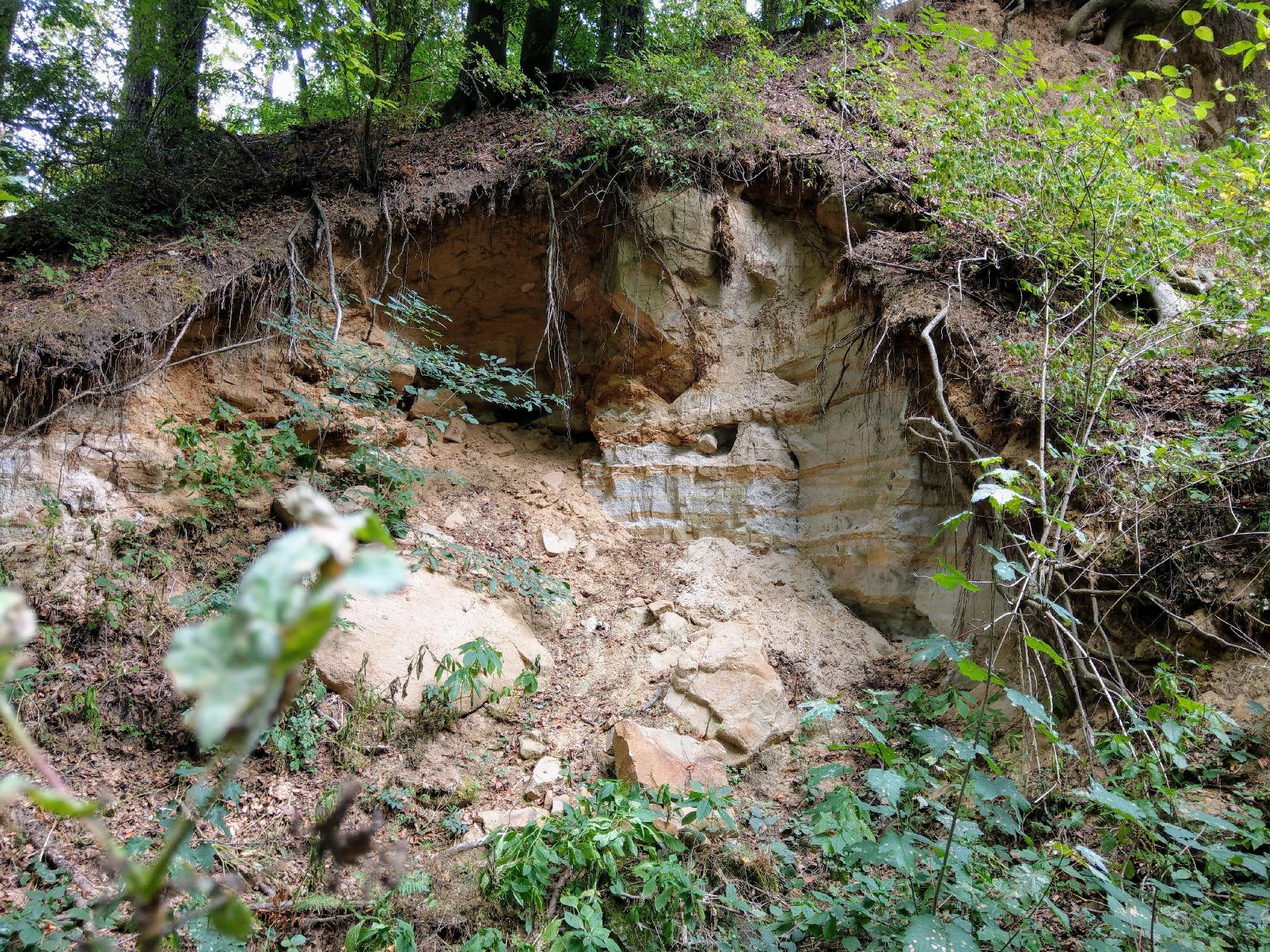 Felsen Sandkaute in Homberg (Ohm)-Nieder-Ofleiden