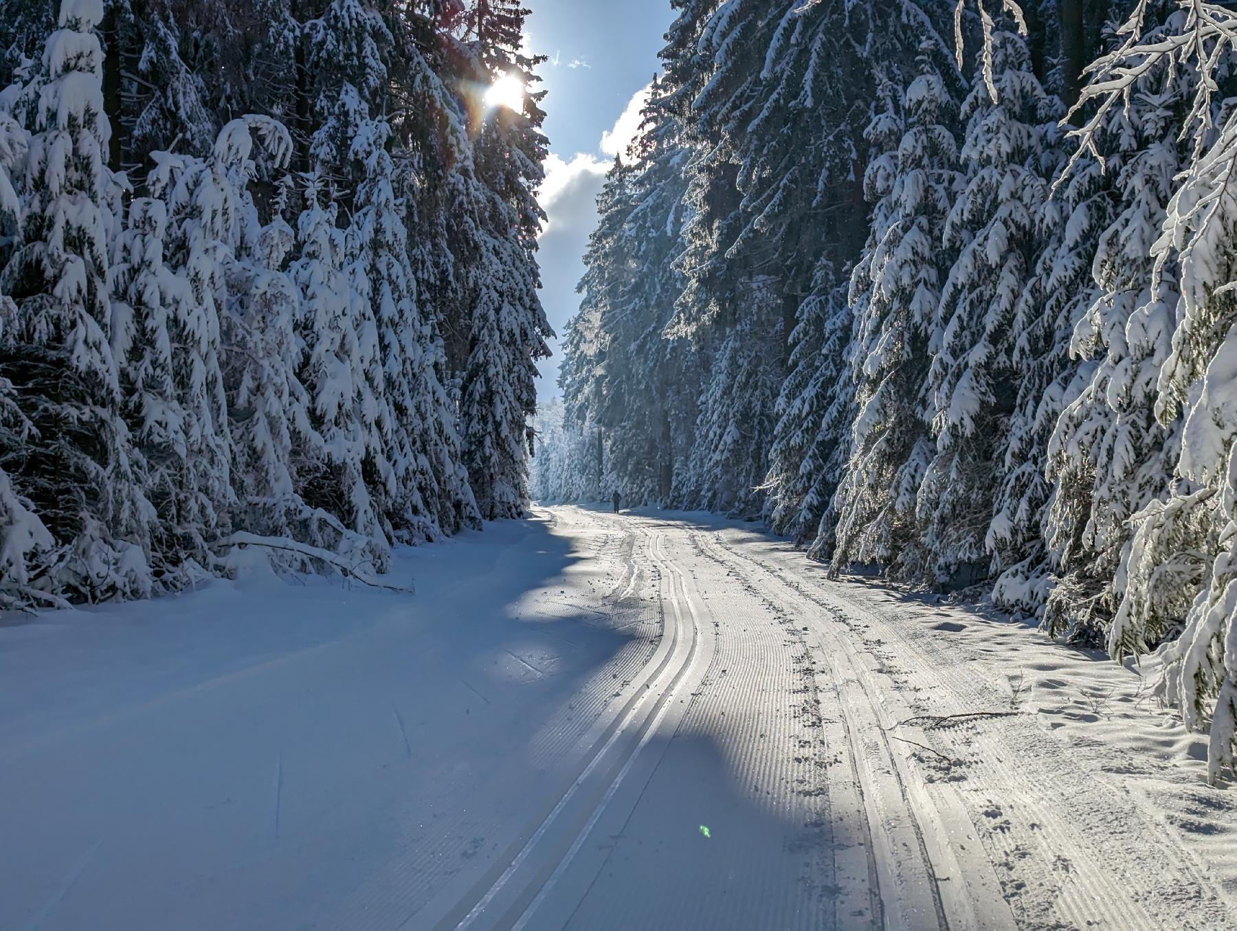 Strecke Taufsteinloipe II im Vogelsberg