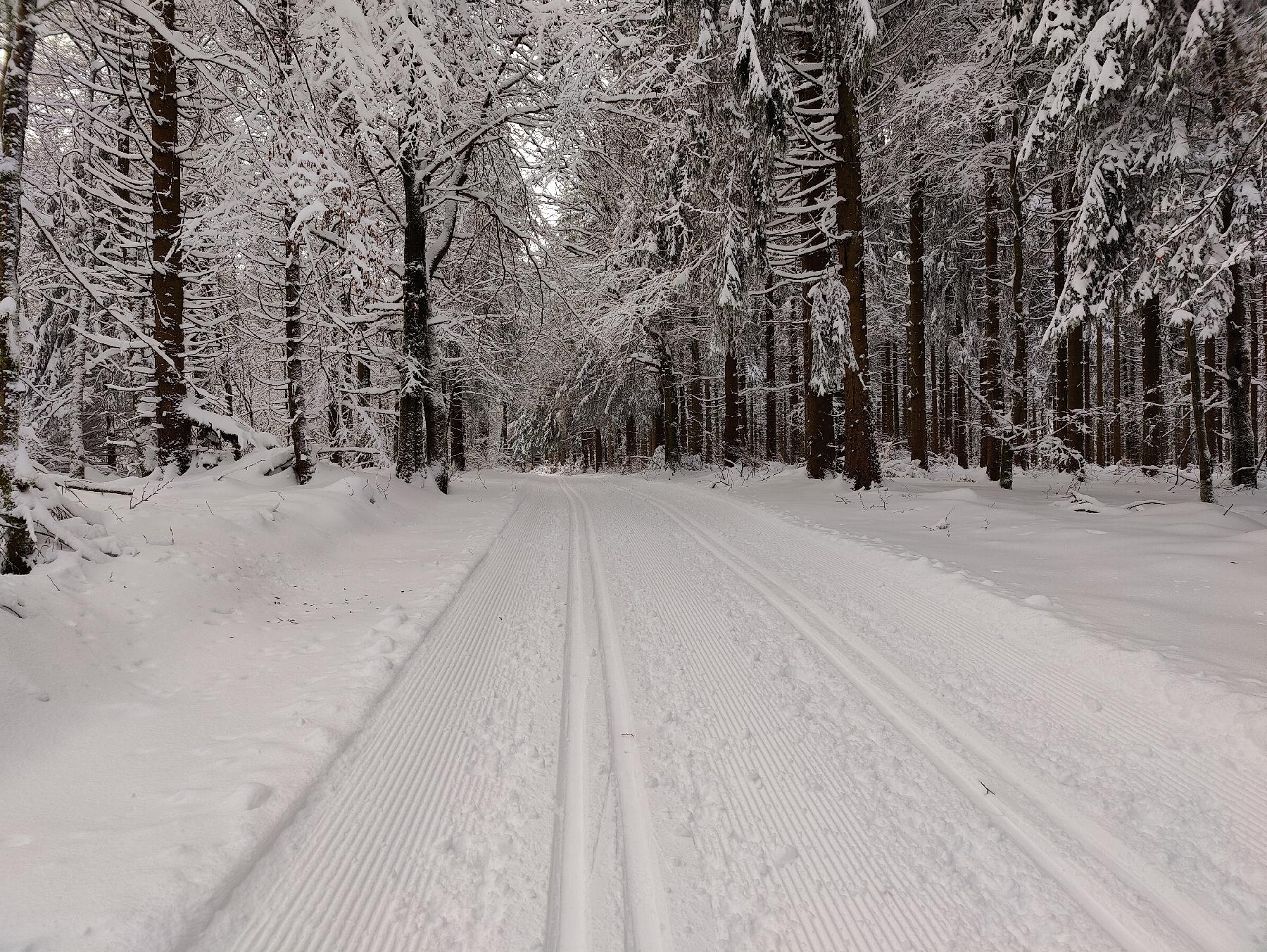 Strecke Taufsteinloipe II im Vogelsberg