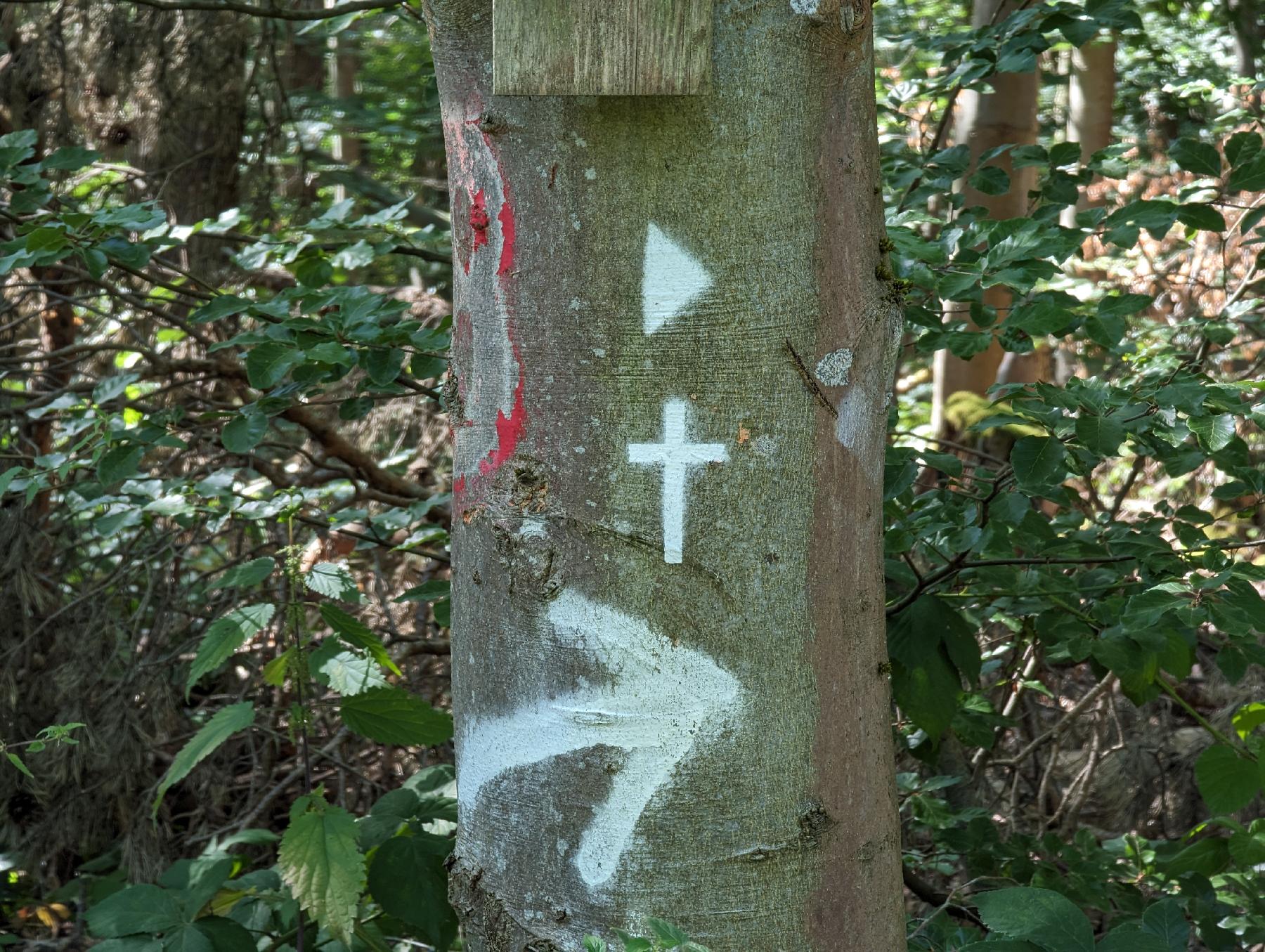 Berg Wendberg in Schlitz-Pfordt