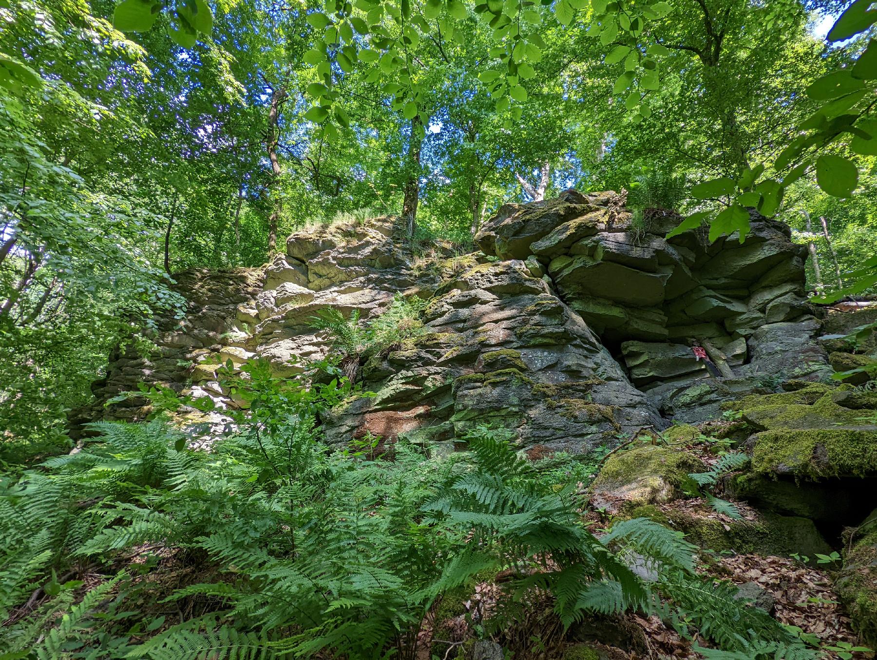 Felsen Wilder Stein (Wallroth) in Schlüchtern-Wallroth